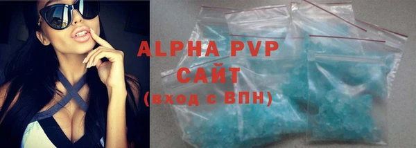 гашик Нефтекумск