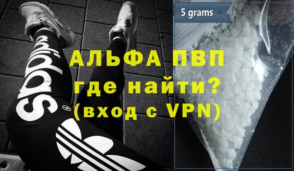 гашик Нефтекумск