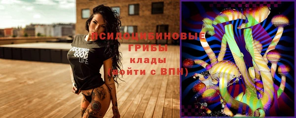 гашик Нефтекумск