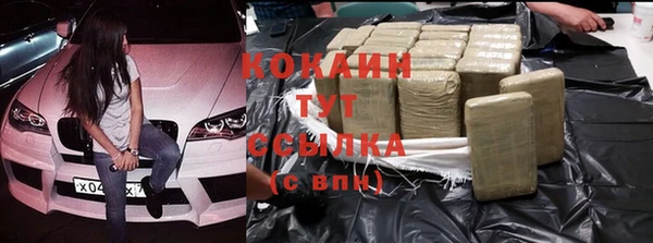 гашик Нефтекумск